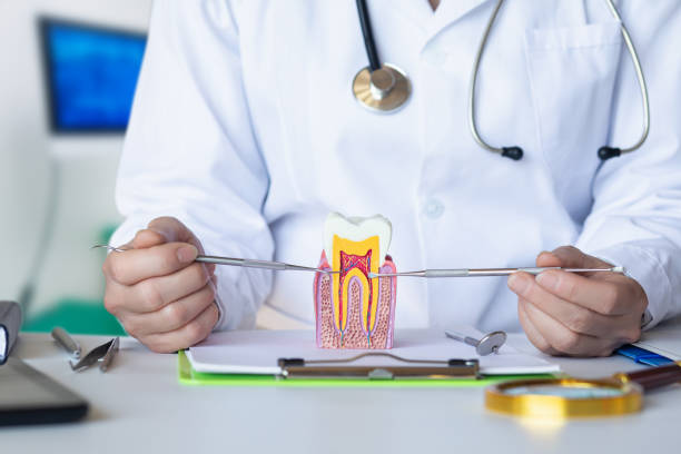 Best Broken or Cracked Tooth Emergency Dentist in Redkey, IN